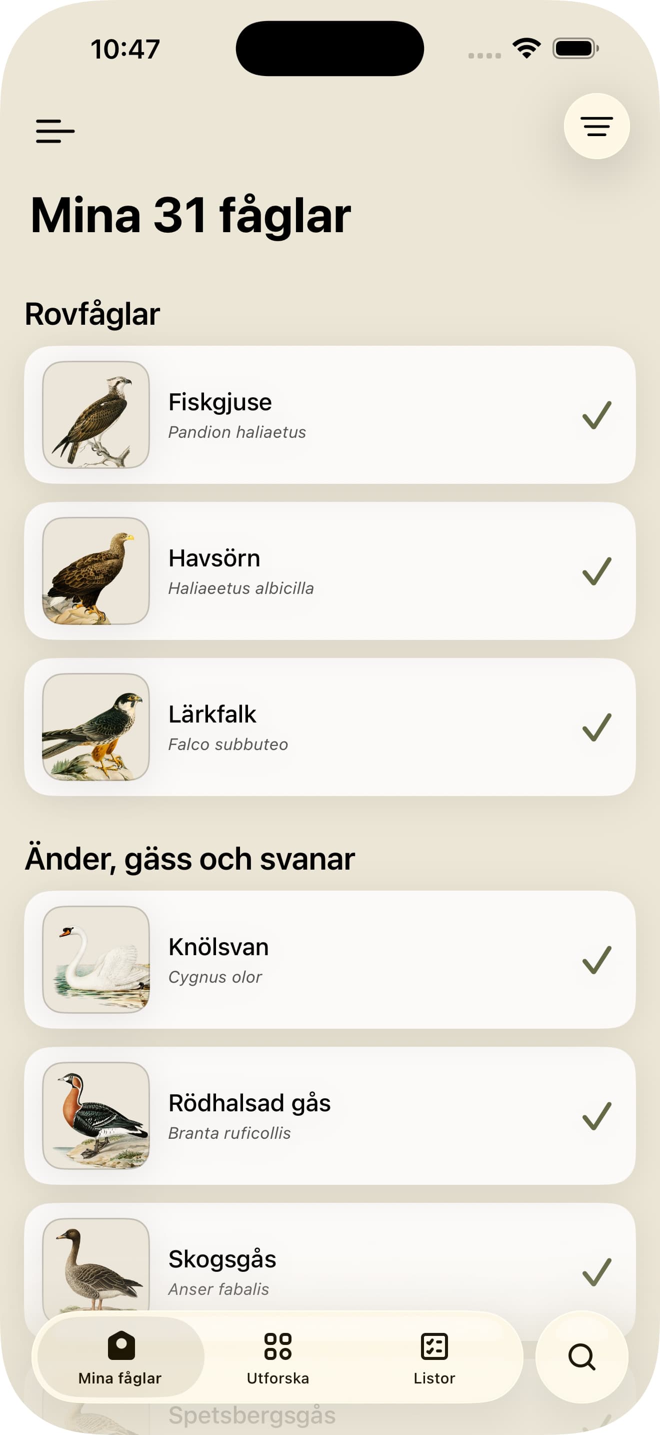 Mina fåglar – hemskärm med listan Mina 31 fåglar