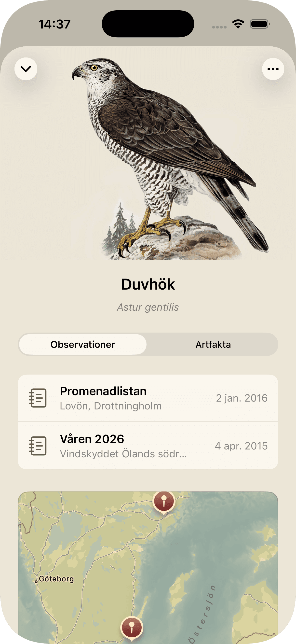 Fågelkort för Duvhök med observationer och karta