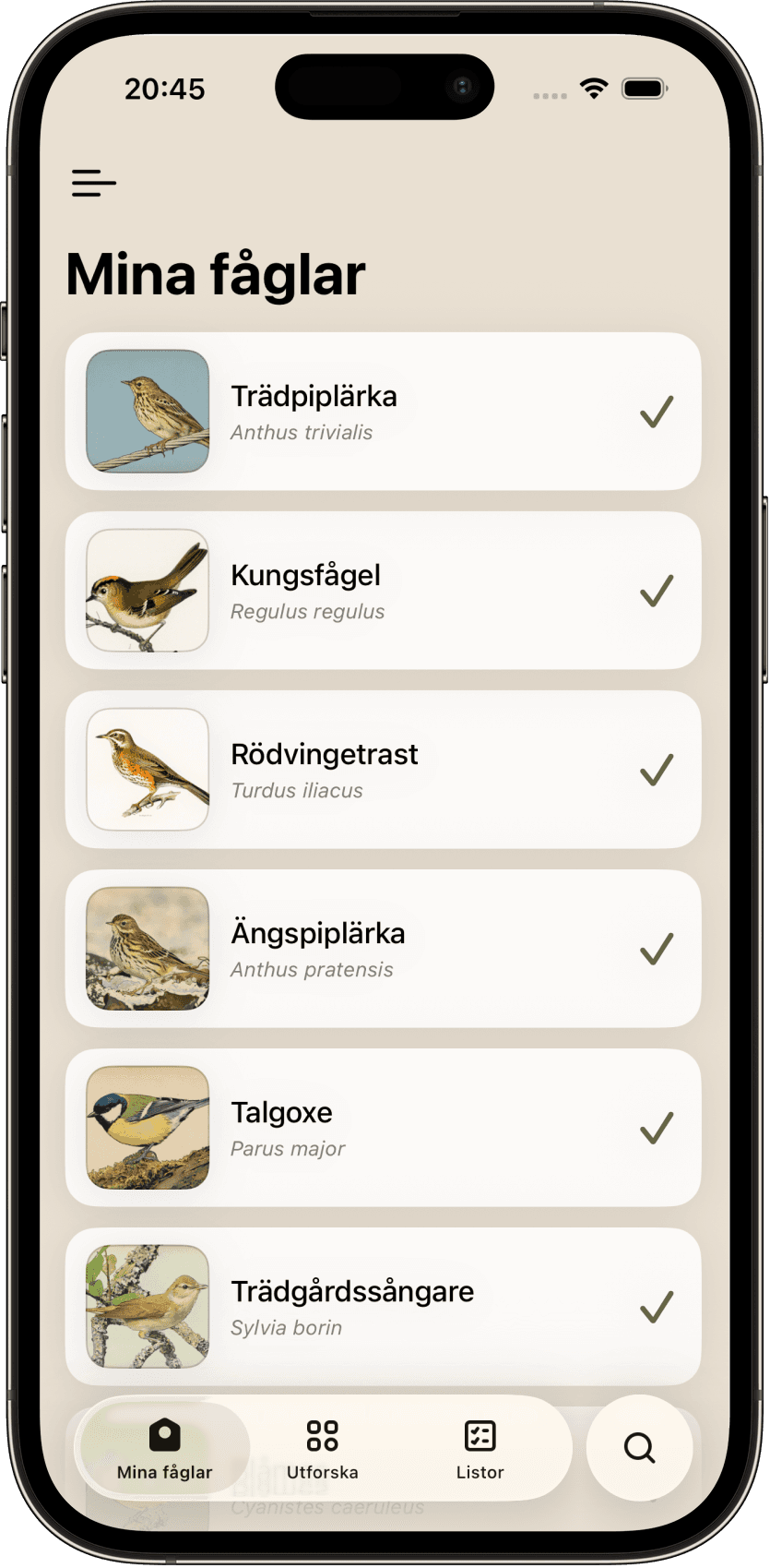 Mina fåglar – hemskärm