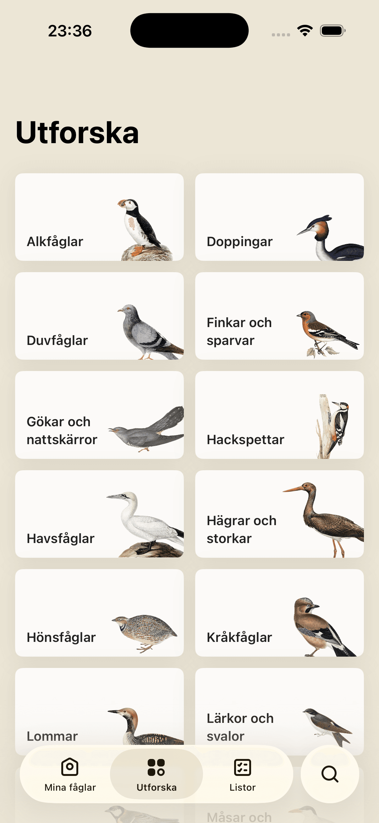 Utforska efter fågelfamilj