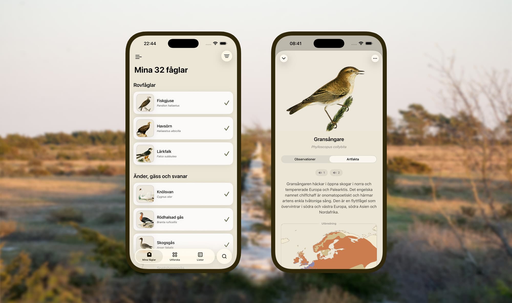 Två iPhone-skärmar ur Mina fåglar, krysslistan Mina 32 fåglar och artkortet för gransångare, mot en naturbakgrund